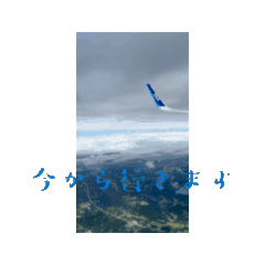 [LINEスタンプ] 飛行動画 
