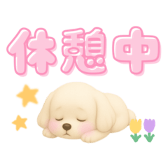 [LINEスタンプ] 毎日使えるデカ文字♡マルチーズ