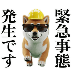 [LINEスタンプ] 走る柴犬現場仕事☆緊急連絡用