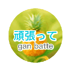 [LINEスタンプ] [動画][繁體字]日文・中文超便利會話集06 