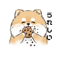 [LINEスタンプ] 文字ありver. ポメラニアン（日常使い）