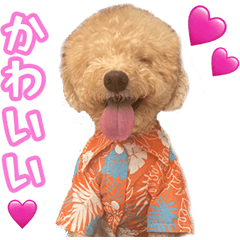 [LINEスタンプ] ふくスタンプ3号