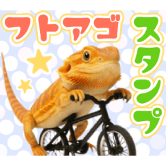 [LINEスタンプ] フトアゴの日常.
