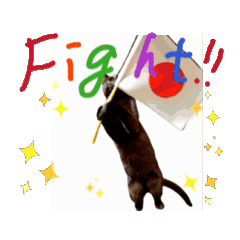 [LINEスタンプ] お酒とネコ好きな日常会話 51