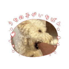 [LINEスタンプ] マルとのくらし5