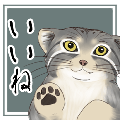 [LINEスタンプ] マヌルネコ・スタンプ1