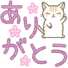 [LINEスタンプ] 【デカ文字】ずっと使えるかわいい☆トラ猫