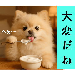 [LINEスタンプ] ポメラニアンのセットメニューダジャレ多め