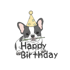 [LINEスタンプ] フレンチブルドッグ（パイド、白黒）