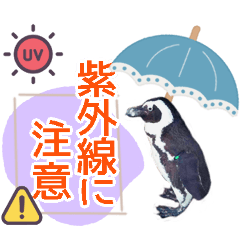 [LINEスタンプ] アニマルたちの真夏のスタンプ♪