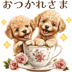 [LINEスタンプ] アフタヌーンティーを楽しむトイプードル
