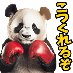 [LINEスタンプ] 山梨弁☆パンダ