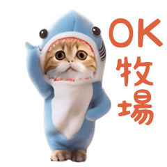 [LINEスタンプ] 踊る！ダンス サメ猫（死語）