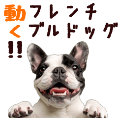 [LINEスタンプ] 動く！フレンチブルドッグさん