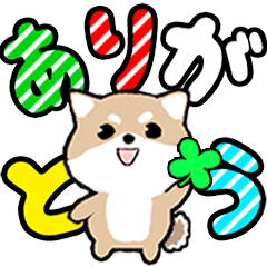 [LINEスタンプ] 飛び出すデカ文字 豆しば【日常編】
