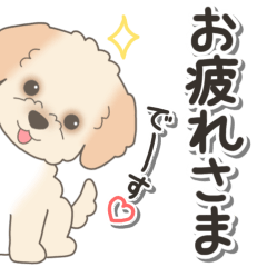 [LINEスタンプ] やさしいマルプー『仕事＆連絡』