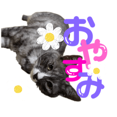 [LINEスタンプ] はなたんミニスタンプ