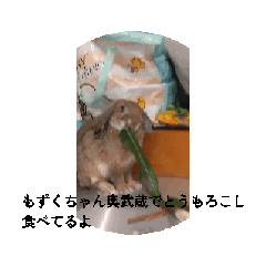 [LINEスタンプ] もずくちゃんおいしいね 