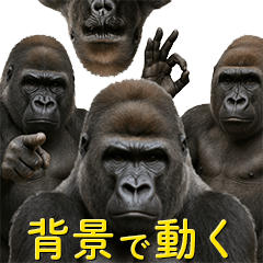 [LINEスタンプ] "こちら"を見ているゴリラ