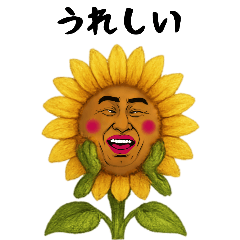 [LINEスタンプ] ひまわり兄さんは不細工
