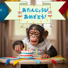[LINEスタンプ] かわいい動物のお誕生日メッセージ