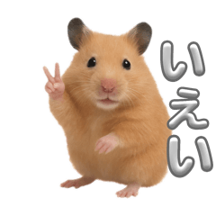 [LINEスタンプ] きんちゃんの日常part2