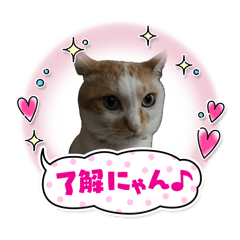 [LINEスタンプ] ポポ‎♡福♡あずあず.⋆⟡スタンプ