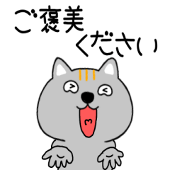 [LINEスタンプ] 【毎日使える】ネコ三兄弟二郎31