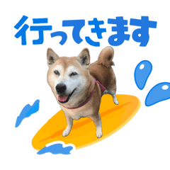 [LINEスタンプ] 柴犬さくちゃんの日常2