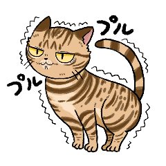 [LINEスタンプ] 毎日使える猫様スタンプ