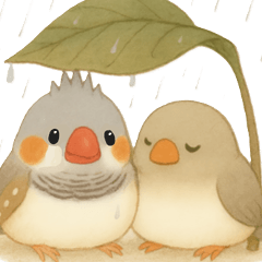 [LINEスタンプ] キンカチョウのスタンプ！ 