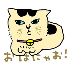 [LINEスタンプ] ニャンコまにあ
