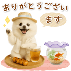 [LINEスタンプ] ▶動く癒しポメラニアンの「夏」の毎日
