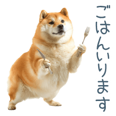 [LINEスタンプ] 家族連絡しば犬【日常会話・かわいい】