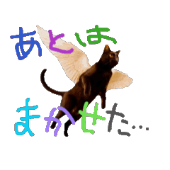 [LINEスタンプ] お酒とネコ好きな日常会話52