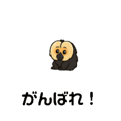 [LINEスタンプ] ワイがシロガオサキや
