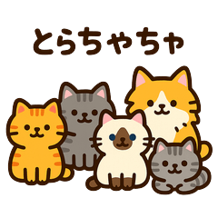 [LINEスタンプ] ぷっくり猫「とらちゃちゃ」日常ワード 