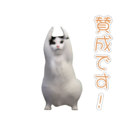 [LINEスタンプ] 動く！踊る猫ミーム(パート27)