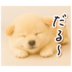 [LINEスタンプ] 子犬のゆるく使う日常スタンプ