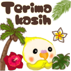 [LINEスタンプ] ふわふわオカメインコ★挨拶★インドネシア