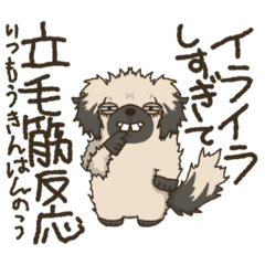 [LINEスタンプ] 安分守己な犬