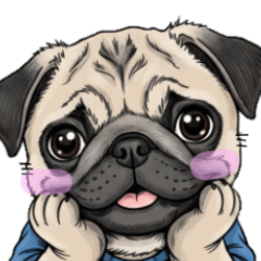 [LINEスタンプ] Tシャツ着たパグの毎日使えるスタンプ