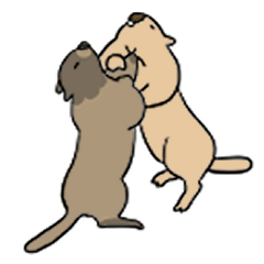 [LINEスタンプ] 可愛い愛しいマーモット