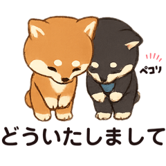 [LINEスタンプ] yukieのスタンプまめ柴ちゃん②