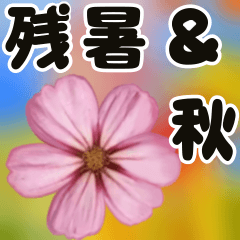 [LINEスタンプ] 秋色のお花と飛び出す大きな文字
