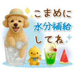 [LINEスタンプ] ▶動く癒しトイプードルの「夏」の毎日