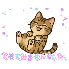 [LINEスタンプ] 『雉虎』のスタンプ