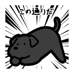 [LINEスタンプ] いつでも使えるシュナウザー（黒）