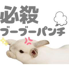 [LINEスタンプ] 強気なもちさんたっぷり