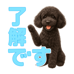 [LINEスタンプ] スタンダードプードルの見やすい日常会話